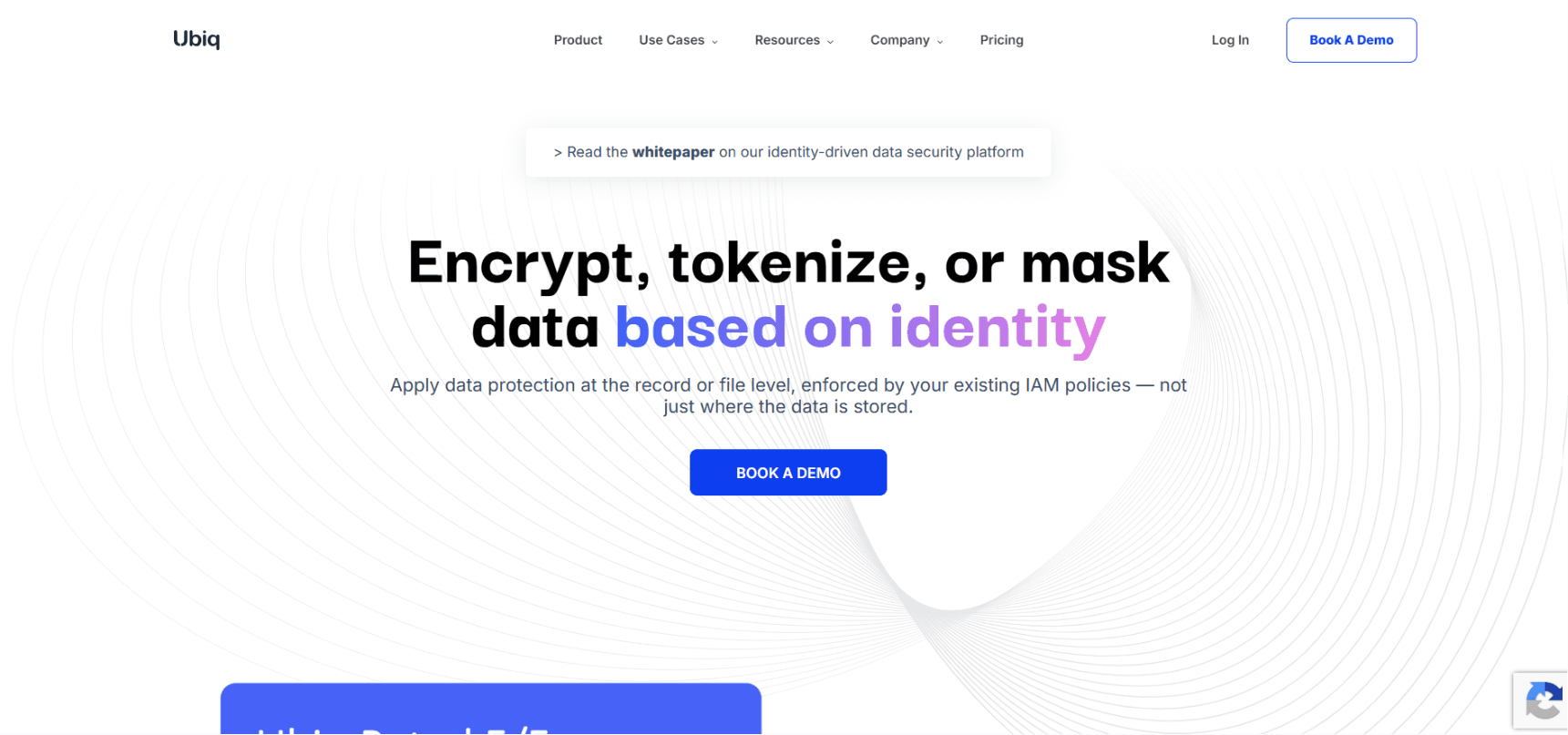 Ubiq Security homepage